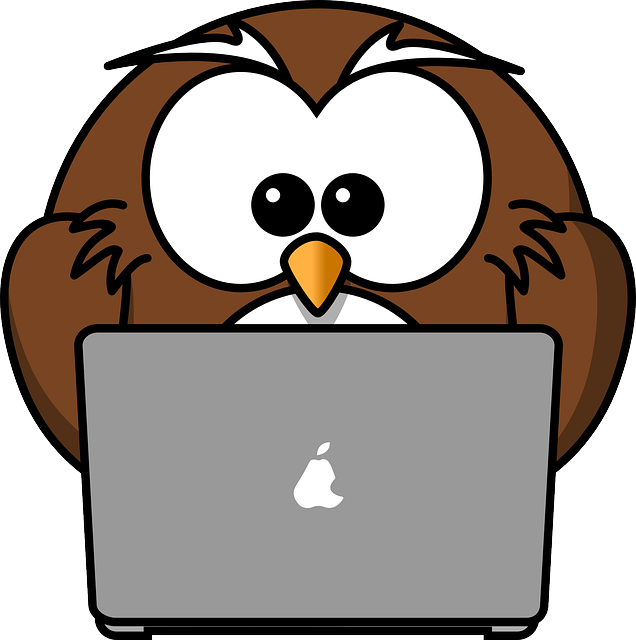 Cartoon owl working on computer