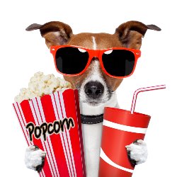 Picture of dog wearing 3D glasses & holding popcorn & soda