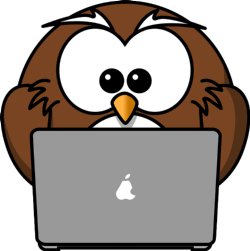 Image of cartoon owl working at a computer